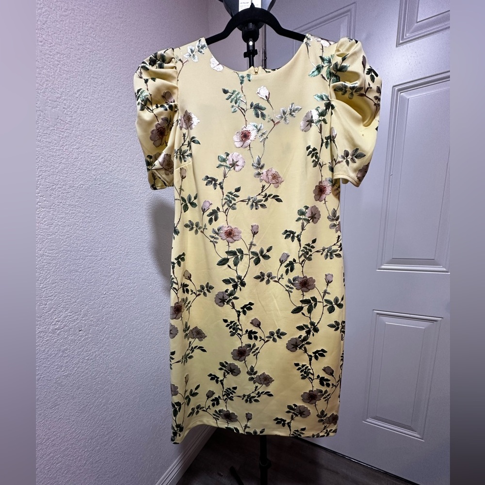 Shelby and Palmer knee lenght dress
